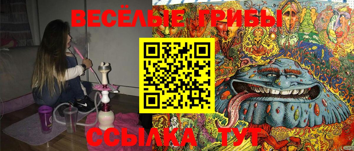 Галлюциногенные грибы мухоморы Сарапул